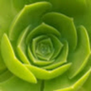 Meet your Posher, Eddie